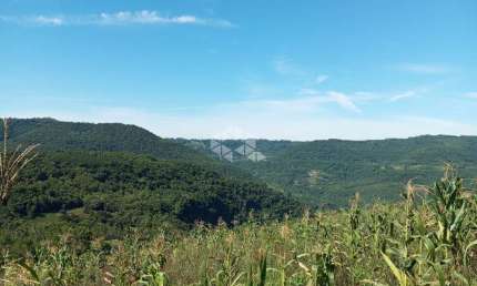 Chácara / sítio à venda na Ahmann, 24, Vila Germania, Nova Petrópolis