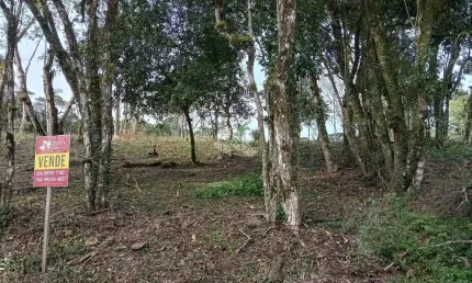 Terreno à venda na Geral Fazenda Pirajá, 1, Vila Germania, Nova Petrópolis