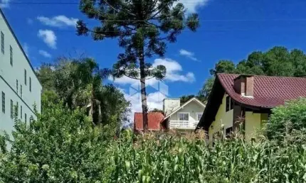 Terreno à venda na Selvino Boone, 96, Logradouro, Nova Petrópolis
