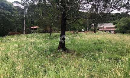 Terreno no Bairro Pousada da Neve em Nova Petrópolis