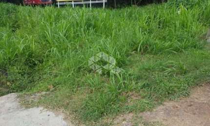 Terreno à venda na Br 116, 200, Bavária, Nova Petrópolis