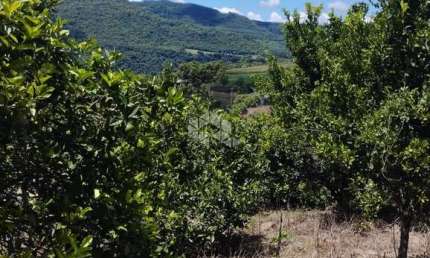 Terreno à venda na Pedro Weber, 1, Pinhal Alto, Nova Petrópolis