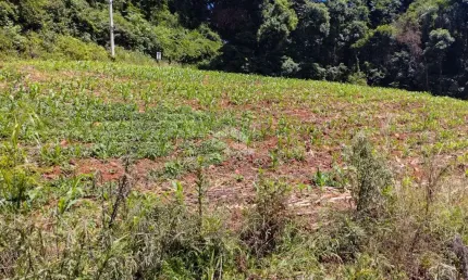 Terreno à venda na Pedro Weber, 2, Pinhal Alto, Nova Petrópolis