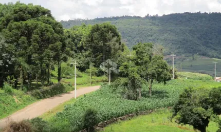 Chácara na localidade de Nove Colônias, cidade de Nova Petrópolis na serra gaúcha.