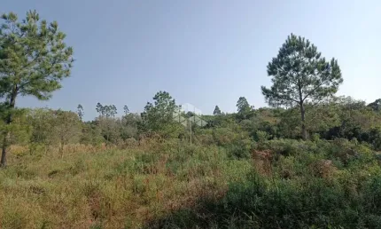 Terreno à venda na Canto Mass, 15776, Vila Olinda, Nova Petrópolis