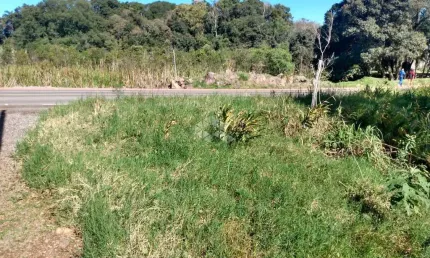 Terreno à venda na Dos Imigrantes, 34, Vila Olinda, Nova Petrópolis