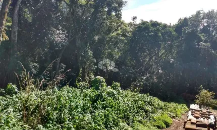 Terreno à venda na Dos Imigrantes, 34, Vila Olinda, Nova Petrópolis