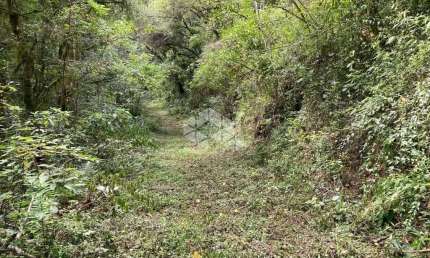 Chácara / sítio à venda na Linha Pirajá, 1, Zona Rural, Nova Petrópolis