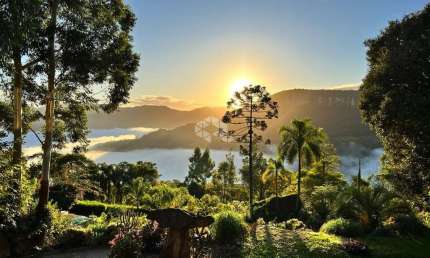 Chácara / sítio com 3 quartos à venda na Seibtsberg, 1, Zona Rural, Nova Petrópolis