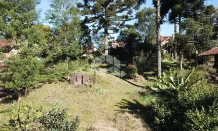 Terreno à venda na Ipiranga, 3, Centro, Nova Petrópolis