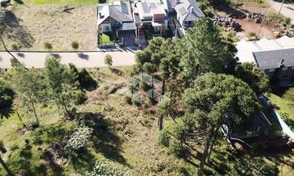 Excelente terreno de 554,03m2 em Nova Petrópolis. Venha residir em um recanto e desfrute do sossego.