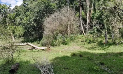 Chácara / sítio à venda na São João, 1111, Zona Rural, Picada Café