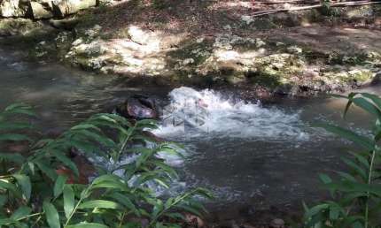 Chácara / sítio à venda na Dos Ackermann, 1000, Zona Rural, Nova Petrópolis
