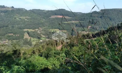 Chácara / sítio à venda na Dos Ackermann, 7500, Zona Rural, Nova Petrópolis
