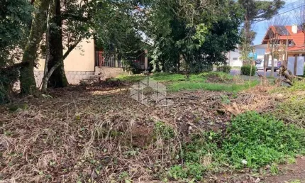 Terreno à venda na Frederico Michaelsen, 800, Logradouro, Nova Petrópolis