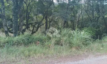 Terreno à venda na São Jacó, 5, Bavária, Nova Petrópolis