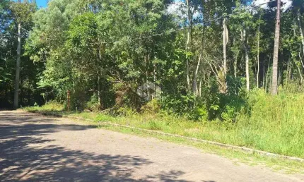 Terreno na serra gaúcha com 528 m2 em área nobre residencial de Nova Petrópolis.