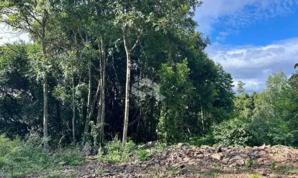 Terreno à venda na Veranopolis, 1, Pousada da Neve, Nova Petrópolis