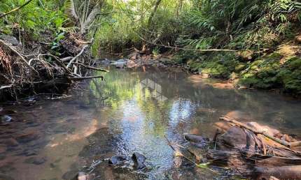 Chácara / sítio à venda na Vila Linha Temeraria, 550, Zona Rural, Nova Petrópolis