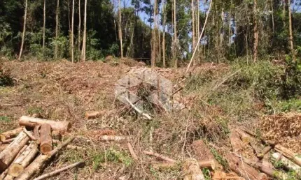 Chácara / sítio à venda na Vereador Fridolino Ludwig, 100, Linha Imperial, Nova Petrópolis