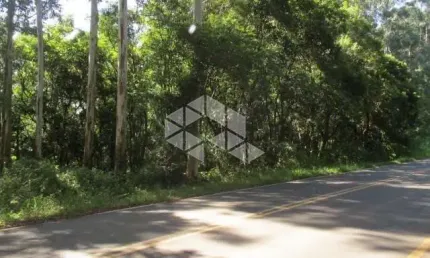 Chácara no munícipio de linha nova na serra gaúcha.