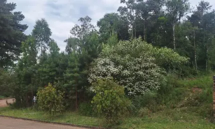Terreno com 386,24 m2 na serra gaúcha a venda por R$ 270.000,00.