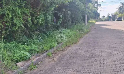 Terreno com 517,04 m2 em área nobre na serra gaúcha por  r$ 540.600,00