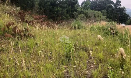 Terreno no Bairro Bavária em Nova Petrópolis com vista panorâmica