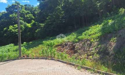Terreno com 464,02 m2 em área arborizada na serra gaúcha