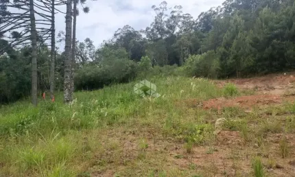 Terreno à venda na Rua Antônio Schoeler, 22181, Linha Imperial, Nova Petrópolis