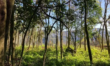 Área de terras com 23.191,73 m2 em constante valorização na serra gaúcha