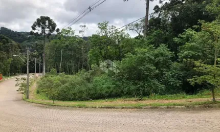Terrenos no Loteamento Bosque das Araucárias na Linha Imperial