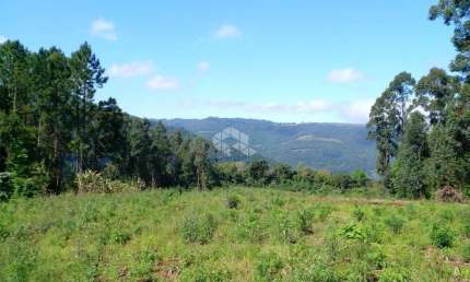 Chácara / sítio à venda na Vicente Prieto, 10760, Pinhal Alto, Nova Petrópolis
