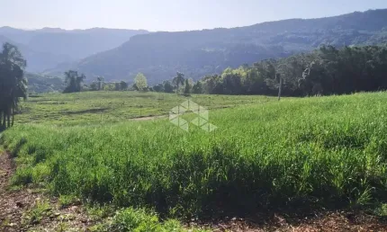 Chácara / sítio à venda na Aloisio Rohr, 320, Linha Quatro Cantos, Picada Café