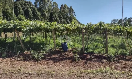 Sítio com 41.584,40 m² e Vista Panorâmica no Alto de Picada Café - Serra Gaúcha
