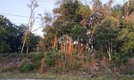 Terreno à venda na Das Calêndulas, 1, Juriti, Nova Petrópolis