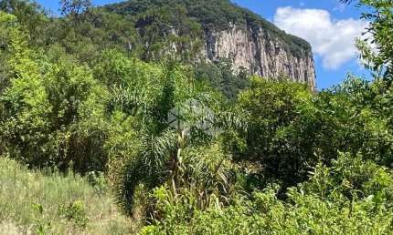 Chácara / sítio à venda na Linha Brasil / Riachuelo, 1, Linha Brasil, Nova Petrópolis