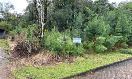 Terreno à venda na Otto Grings, 50, Linha Imperial, Nova Petrópolis