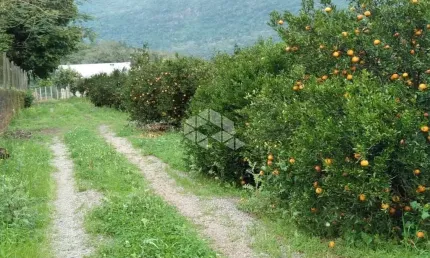 Terreno à venda na Rs 452, 100, Vila Cristina, Caxias do Sul