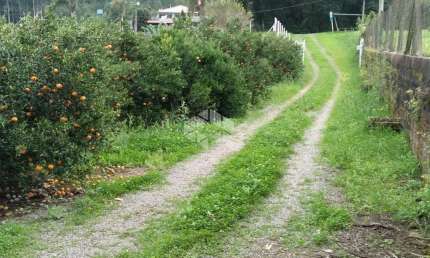 Terreno à venda na Rs 452, 100, Vila Cristina, Caxias do Sul