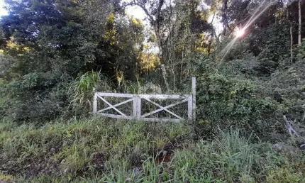 Chácara / sítio à venda na Ninho Das ÁGuias, 941, Linha Temerária, Nova Petrópolis