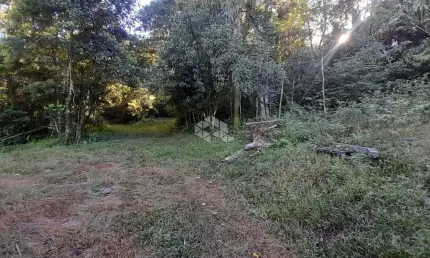 Chácara / sítio à venda na Ninho Das ÁGuias, 941, Linha Temerária, Nova Petrópolis