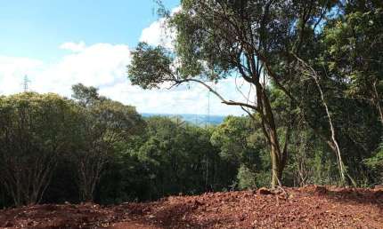 Chácara / sítio à venda na Antonio Schoeller, 01, Linha Imperial, Nova Petrópolis