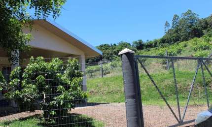 Chácara / sítio com 1 quarto à venda na São Roque, 10, Zona Rural, Feliz