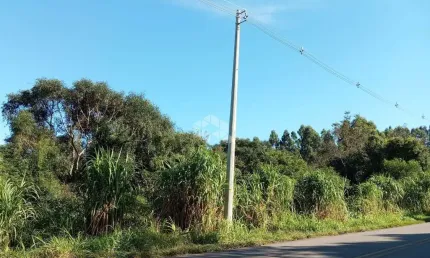 Chácara / sítio à venda na Linha Olinda Até Linha Nova, 2, Zona Rural, Linha Nova