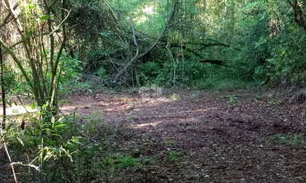 Chácara / sítio à venda na Linha Olinda Até Linha Nova, 2, Zona Rural, Linha Nova