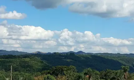 Chácara / sítio à venda na Nove Colônias, 1, Zona Rural, Nova Petrópolis