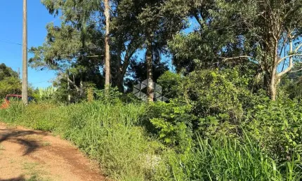 Chácara / sítio à venda na Fazenda Pirajá, 1001, Zona Rural, Nova Petrópolis