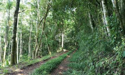Chácara / sítio à venda na Ahmann, 25, Zona Rural, Nova Petrópolis