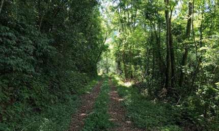 Chácara / sítio à venda na Ahmann, 23, Zona Rural, Nova Petrópolis